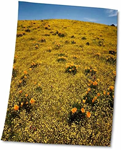 3drose California, California Poppy Wildflowers e Goldfields - Toalhas