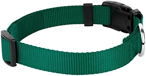 Country Brook Petz - mais de 30 cores vibrantes - American Made Deluxe Nylon Dog Collar com fivela