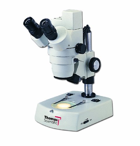 THOMAS 1100500200101T Microscópio estéreo digital com câmera digital embutida e base de economia de espaço, ocular de 20 mm, objetiva