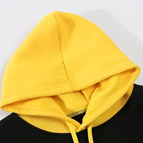 Anime Hoodie Fica