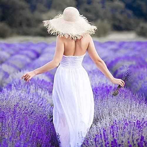 Difusor de dínamo NatsCent com óleo de fragrância de lavanda incluído, pacote de difusor de aromaterapia inteligente