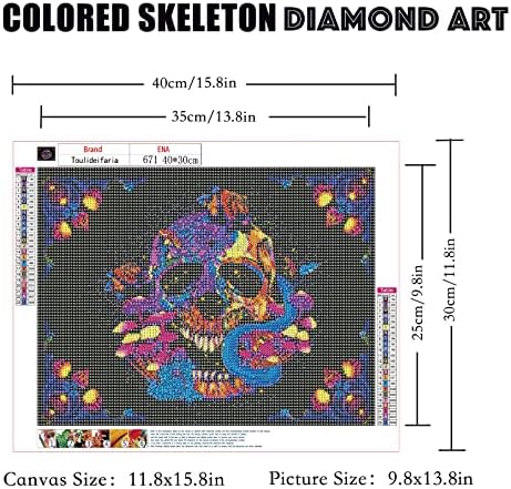 Kits de pintura de diamante Toulideifaria para adultos esqueletos de cor 5D Kits de arte diamante Diy Diamond Dotz