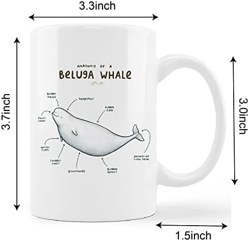Kunlisa fofa copo de caneca de baleia beluga, anatomia de uma caneca de cerâmica de baleia beluga copo de caneca de chá de