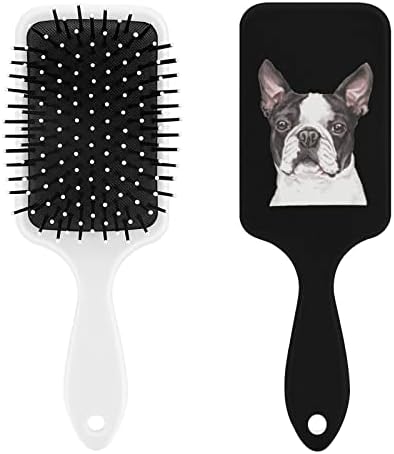 Boston Boston Terrier Hair Brush Brush Brush Air Cushion Pente para homens Presente de cabelo para homens