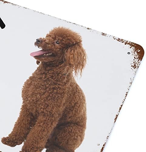 Wengbeauty estilo vintage padrão Poodle Dog Sign Home é onde meu cachorro é metal sinal de lata de cães amantes de