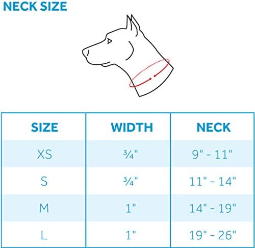 RC RC Pets 3/4 polegadas Easy Clip Web Martingale Treination Dog Collar, Pequeno, Twill Black Plaid