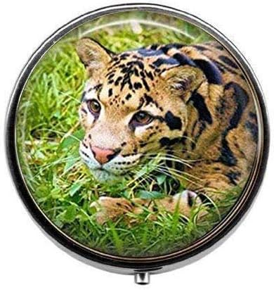 Jóias de charme de fotografia de leopardo nublado - caixa de comprimidos de foto de arte - caixa de comprimidos de charme - caixa de doces de vidro