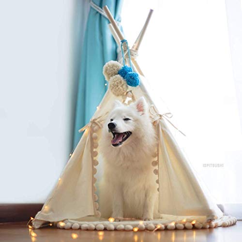 Design original Cama de cães da tenda: tenda de tenda de cachorro ou tenda de gato, tenda de estimação, tenda de cachorro mini tenda por minicamp feita à mão!