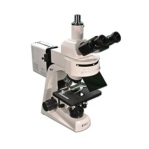Microscópio de laboratório trinocular MT6300Cl