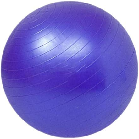 Bola de exercício DHTDVD para ioga Guia de exercícios de estabilidade de condicionamento físico, cadeira de bola de ioga de grau profissional extra grossa com bomba rápida