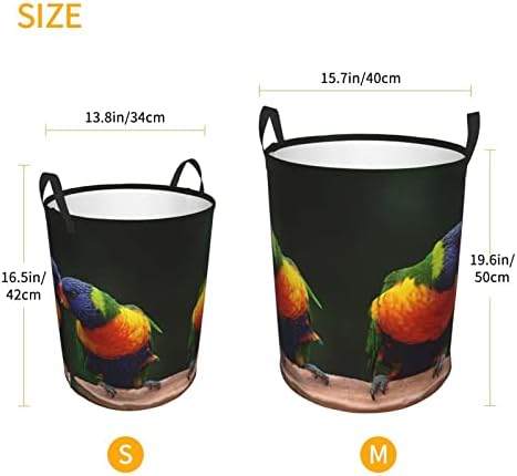Papagaios de arco -íris impressos cestas de lavanderia colapsível cesto circular roupas de armazenamento de armazenamento necessidades diárias bolsa de armazenamento s/m dois tamanhos