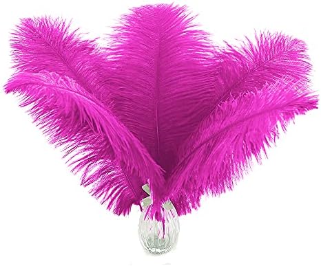 Ballinger Fuchsia Grandes penas de avestruz - 24pcs 10-12 polegadas de penas de artesanato em massa para peças centrais R, arranjo