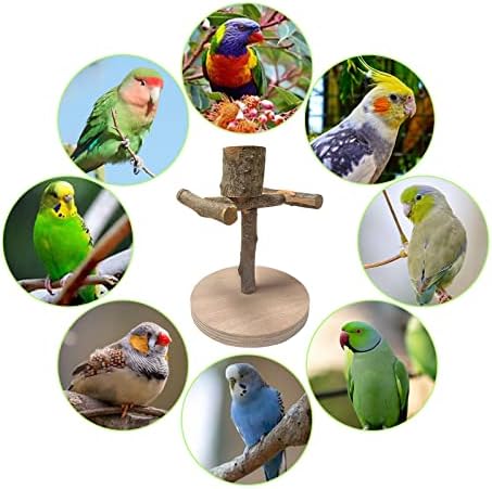 WQY Groceryshop Wood Bird Bird Birds Combattop Bird Stand Toys Toys Acessórios para gaiola de pássaros Para pequenos