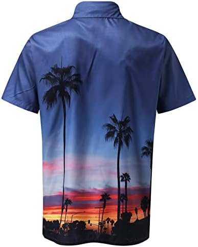 Men Hawaiian Sleeve Sleeve Princied Summer Casual Button Down Down Circhas de praia