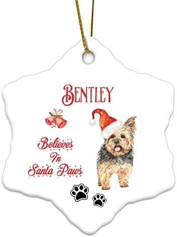 Pingente memorial Ornamentos de Natal Cão de Natal Cão de Natal acredita em Santa Paw Nome do cão de estimação personalizado