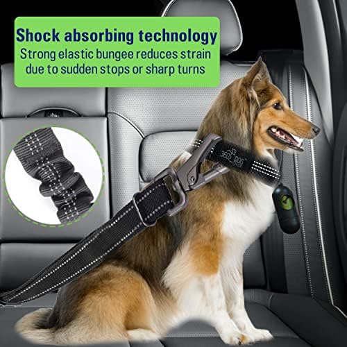 Pelinho de segurança para cães de cão 360 Pelinho de segurança - elástico ajustável Bungee Belém de segurança de segurança -