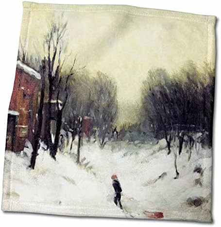 3drose Winter Landscape Central Park, 1902 por Robert Henri - Toalhas