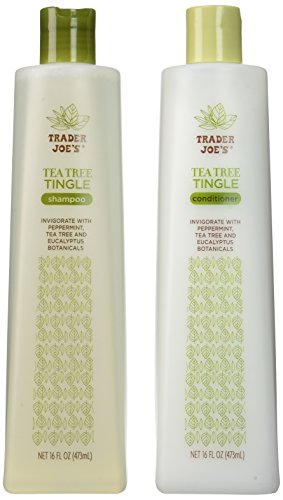 Trader Joe's Tea Tree Tingle Shampoo & Conditioner, 16 onças.