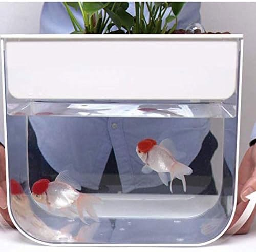 WPYYI Geometria Mini Tanque de peixes preguiçosos Aquário de escritório em casa de aquário autolimpante aquário em casa