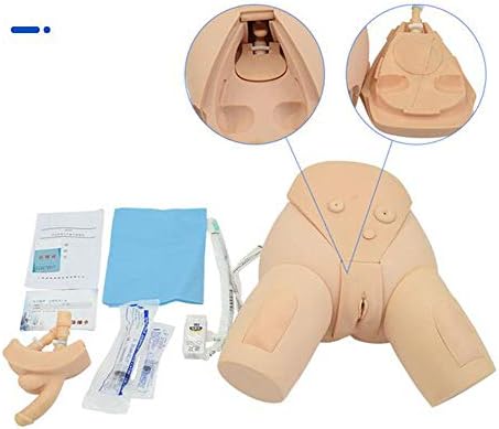 Ghde & md h17ef masculino e feminino kit de simulador de cateterismo uretral para educação de enfermagem em prática médica