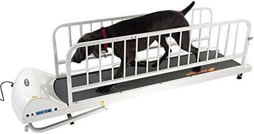 As esteiras de Gopet para cães como o PR725 oferecem excelente exercício para cães grandes até 175 libras, inclui barra