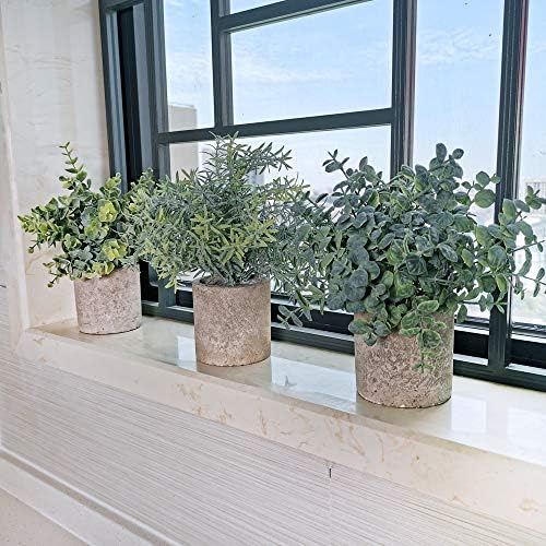 Conjunto de Winlyn de 3 mini vasos de eucalipto artificial em vasos de eucalipto plástico planta de alecrim com decoração