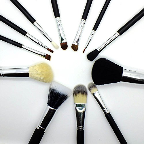 Profissional 12 peças de maquiagem definida da Royal Care Cosmetics