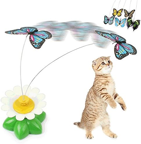 Mime -me gato humano girando a borboleta de brinquedo de brinquedo e um brinquedo de gato