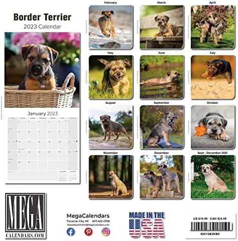 2022 2023 Calendário de Terrier de Fronteira - Raia de Dog Calendar Mensal de Muralha - 12 x 24 Open - Papel sem vergonha - Presente