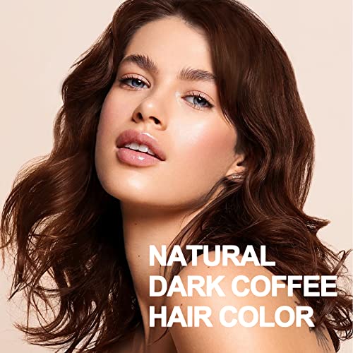 Herbal 3 em 1 Tintura de cabelo de café escuro 13,53 fl oz, xampu de cabelo escuro, shampoo de tinta de cabelo semi-permanente,