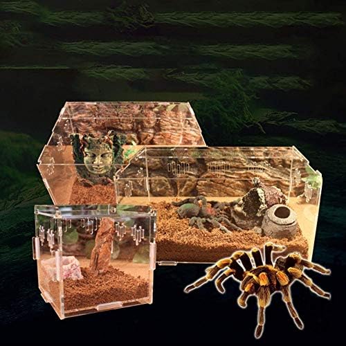 Omem transparente acrílico acrílico réptil pet-pet réptil caixa de criação de cracha-aranha scorpion cobra caixa de criação transparente