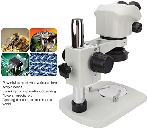 Microscópio binocular, combinação de microscópio conjunto com luz 100240V para adultos Educação Científica