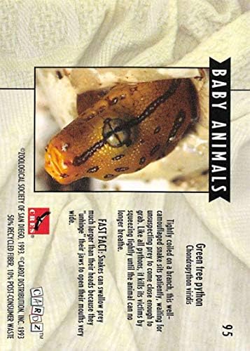 1993 Cardz, o mundialmente famoso Card de NONSPORTO NONSPORTO SAN DIEGO NONSPORT 96 The Zoological Society of San Diego
