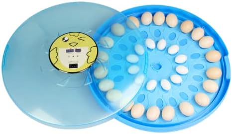 QPWXL Incubadora de ovos pequenos 52 ovos incubadoras eclodirem incubador de ovo digital de controle de temperatura de frango