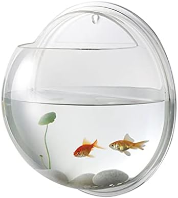 Zlbyb 19,5 cm de diâmetro criativo de parede criativo acrílico tigela pendurada tanque de peixes de aquário transparente