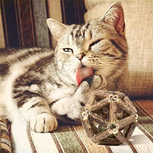 Catnip Ball, Toys interativos de brinquedos de gato de catnip para gatinhos de limpeza de gatos dentes de dentes saudáveis ​​Catnip Ball Supplies - Wood Color S: 5cm, M
