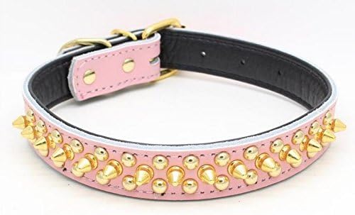 Benala Soft Genium Genium Couather Gold Spiked Countled Pap Puppy Dog Collar para pequenos cães médios Tamanho S M L 5 Cores