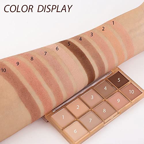 Diário de Amy 10 Cores Sombras Sombra Paleta de Sombra Maquia