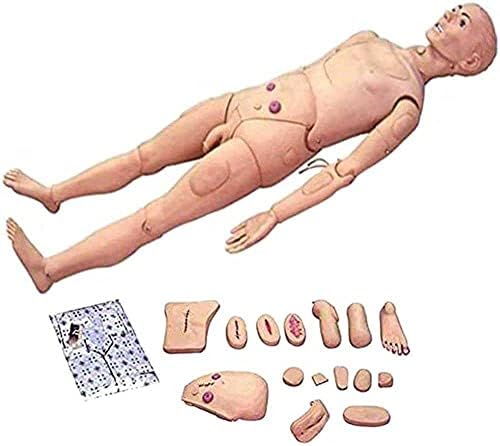 NIHE Treinando Manikin Paciente Care Simulator, com órgãos reprodutivos comutáveis ​​para ensino de treinamento