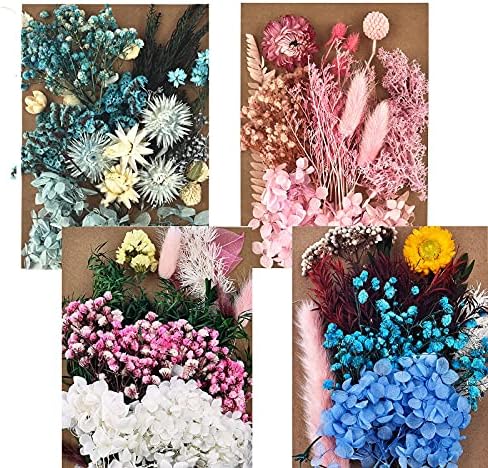 Dalaran 7 Pack Pressado Flores secas Múltiplas flores prensadas coloridas para jóias de resina artesanal Fazendo artesanato de arte Diy