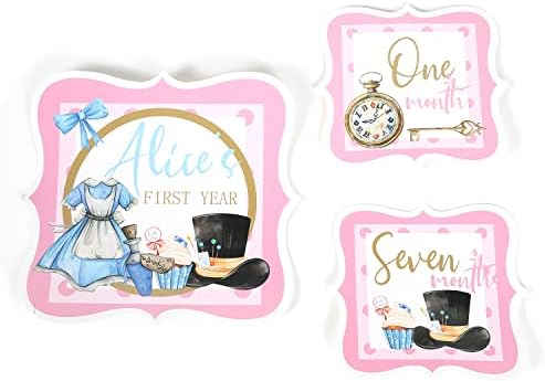 Alice in Onederland First Birthday Photo Banner, Banner de 12 meses, banner mensal, Alice in Wonderland Birthday, Pastel & Gold Tea