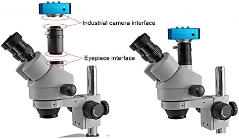 Kit de acessórios para microscópio para adultos 0,5x 0,3x Lente de montagem C 1/2 1/3 Adaptador CTV Acessórios para microscópio