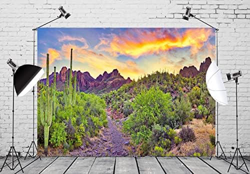 BELECO 10x8ft Fabric Parque Nacional Parque Nacional Arizona Desert Caso -pano de fundo Sunset Sky Mountain Plants Green Plants