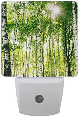 2 plug-in plug-in LED Night Lights com Birch Tree Nightlights With Dusk to Dawn Sensor Luz branca perfeita para cozinha