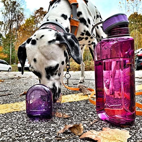 Ollydog Ollybottle portátil Dispensador de água para viajar com tigela não tóxica BPA livre, ameixa, 1 l