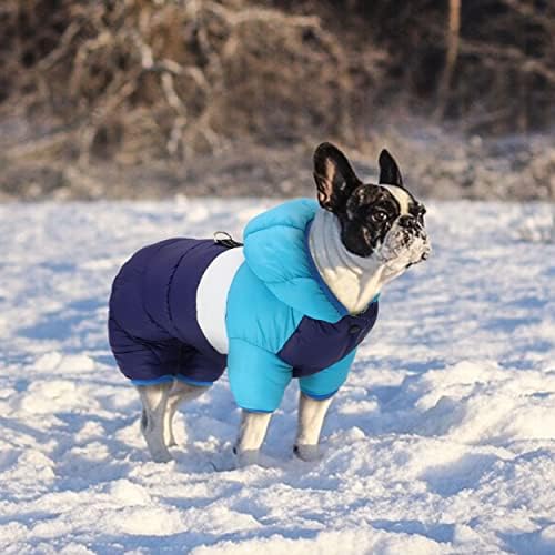 Artista de animais de estimação com casacos de clima frio de cachorro, jaqueta de inverno de cachorro, neve e à prova de vento, snowshit,
