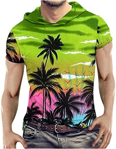 Camisetas casuais de capuz masculino Camisetas havaianas de praia impressão gráfica Mangas curtas Blusa de pulôver de moda