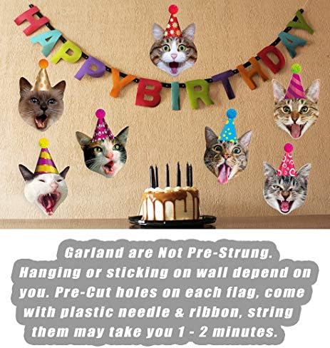 Garland de gato de aniversário, faixa fotográfica de gatos Faces de aniversário, Kitties Bday Party Bunting Decoration