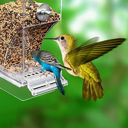 Derramamento automático de alimentador de pássaros e acessórios automáticos de gaiola de alimentador de pássaros automáticos à prova