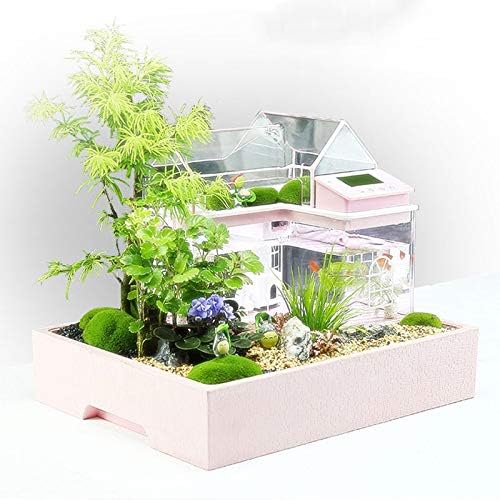 WPYYI Creative Fish Tank Pequeno aquário Ecológico Decoração Criança Criança DIY Suculentas Princesa Prince House Jardim Sonho de Fada